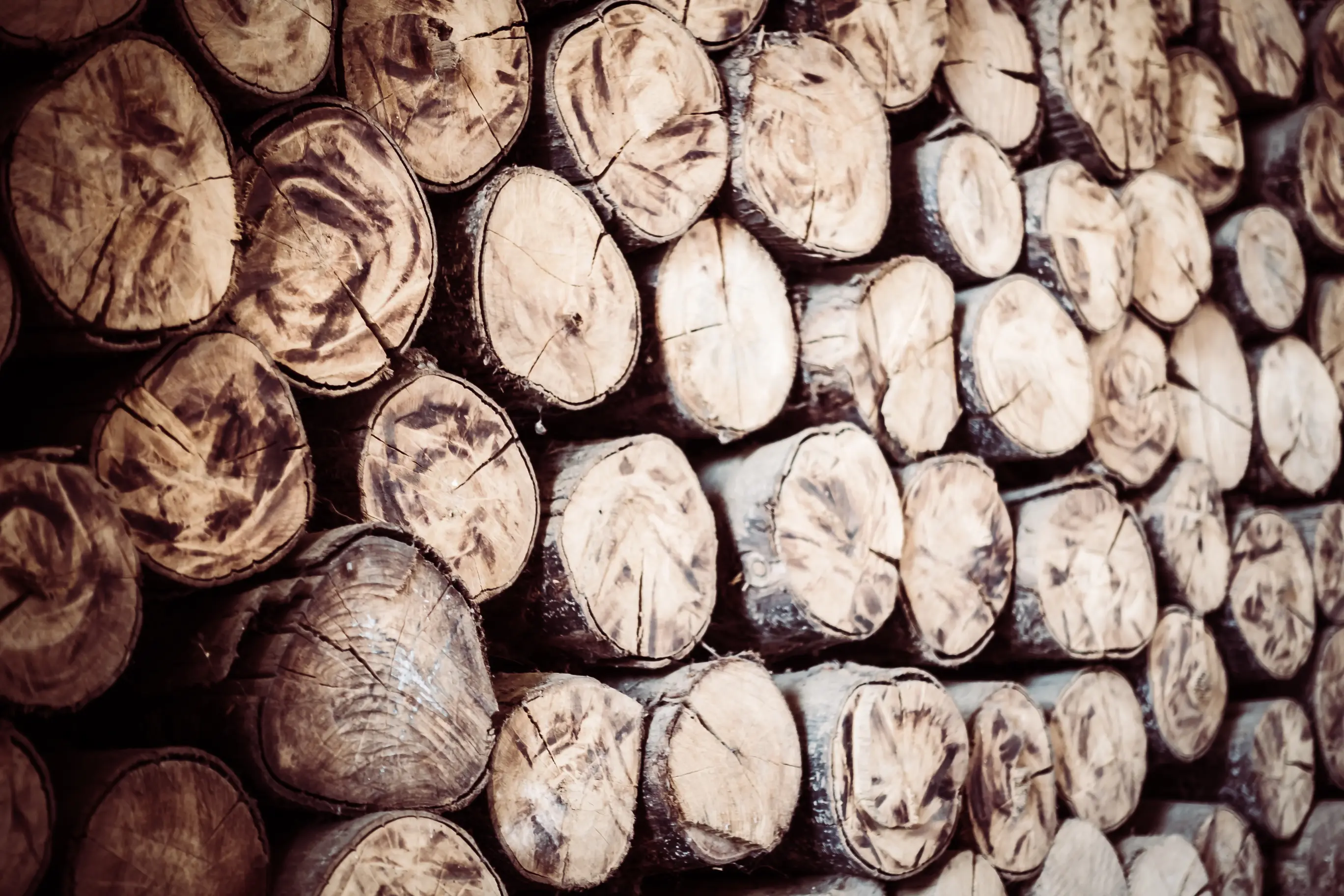 Stacked timber logs in a woodpile — quality timber supply for builders and contractors in Mirpur, Azad Kashmir